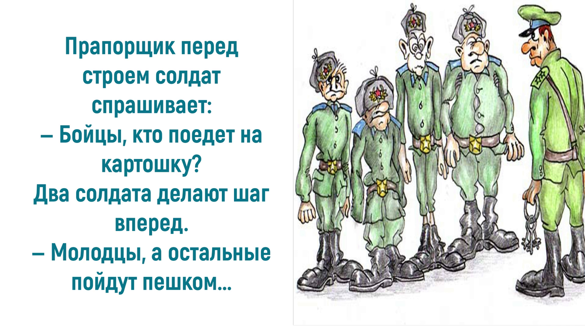 Источник: https://vseosemye.ru/