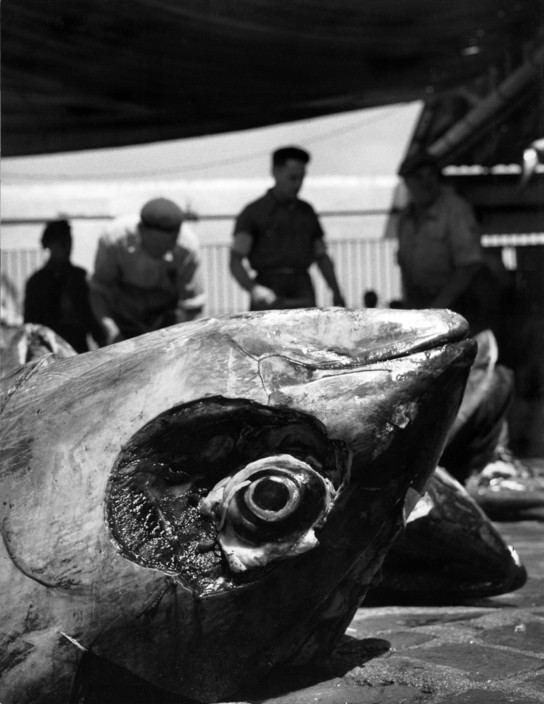 Герберт Лист