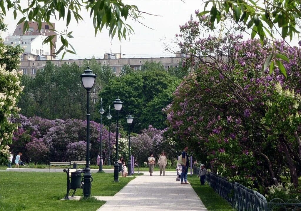 фото из интернета