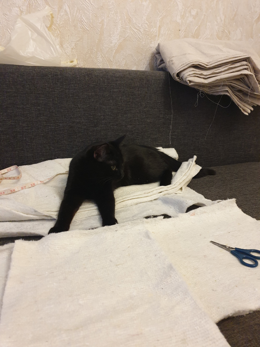 Алиса помогает кроить