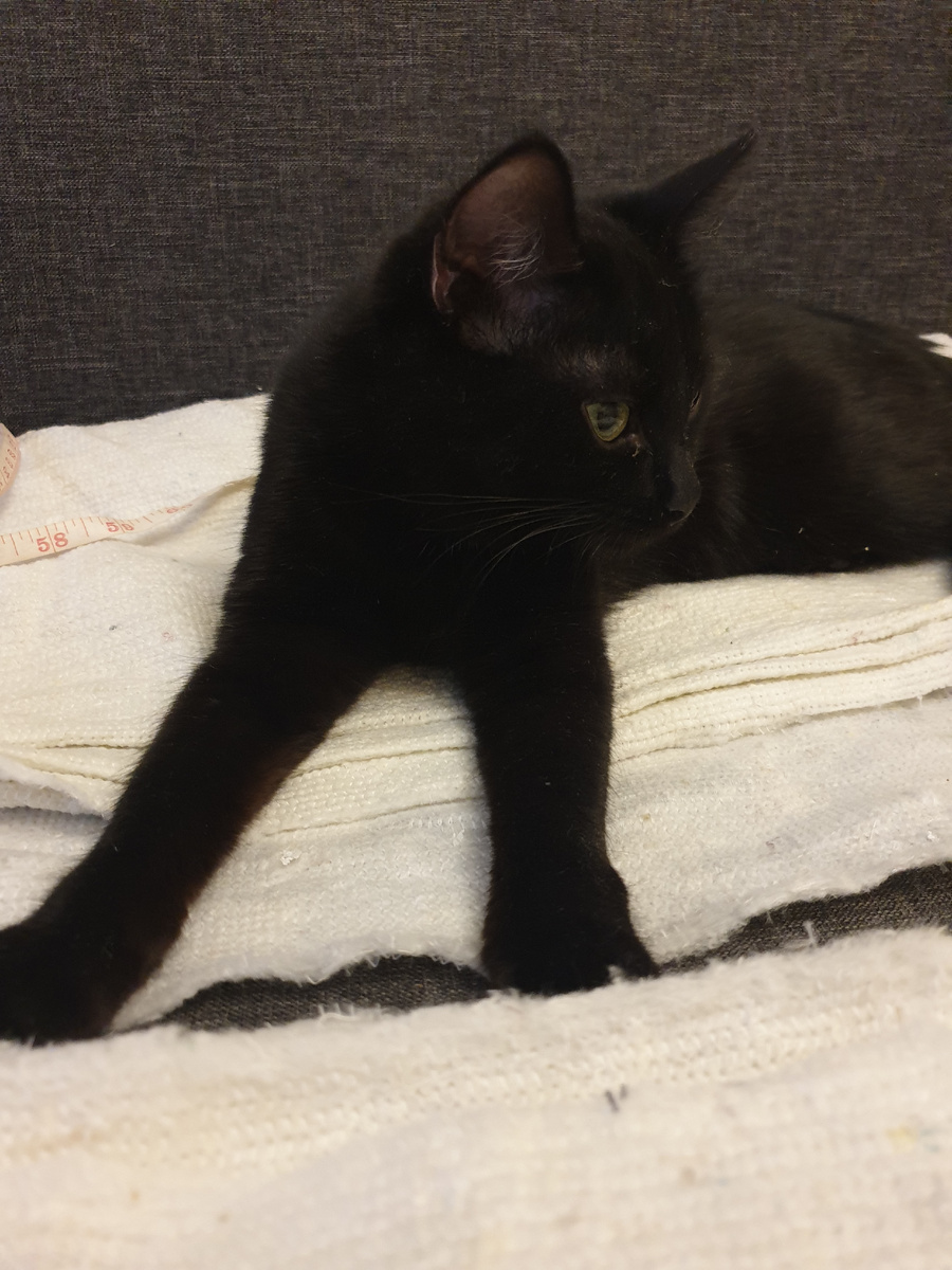 Алиса следит за работой