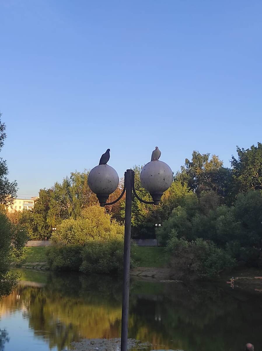 ЛИЧНОЕ ФОТО