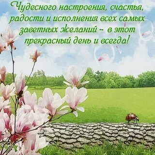 Из интернета для хорошего настроения)