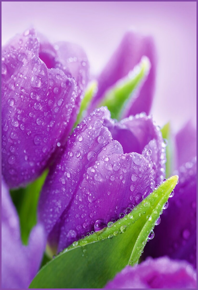 Фото взято из интернета. 