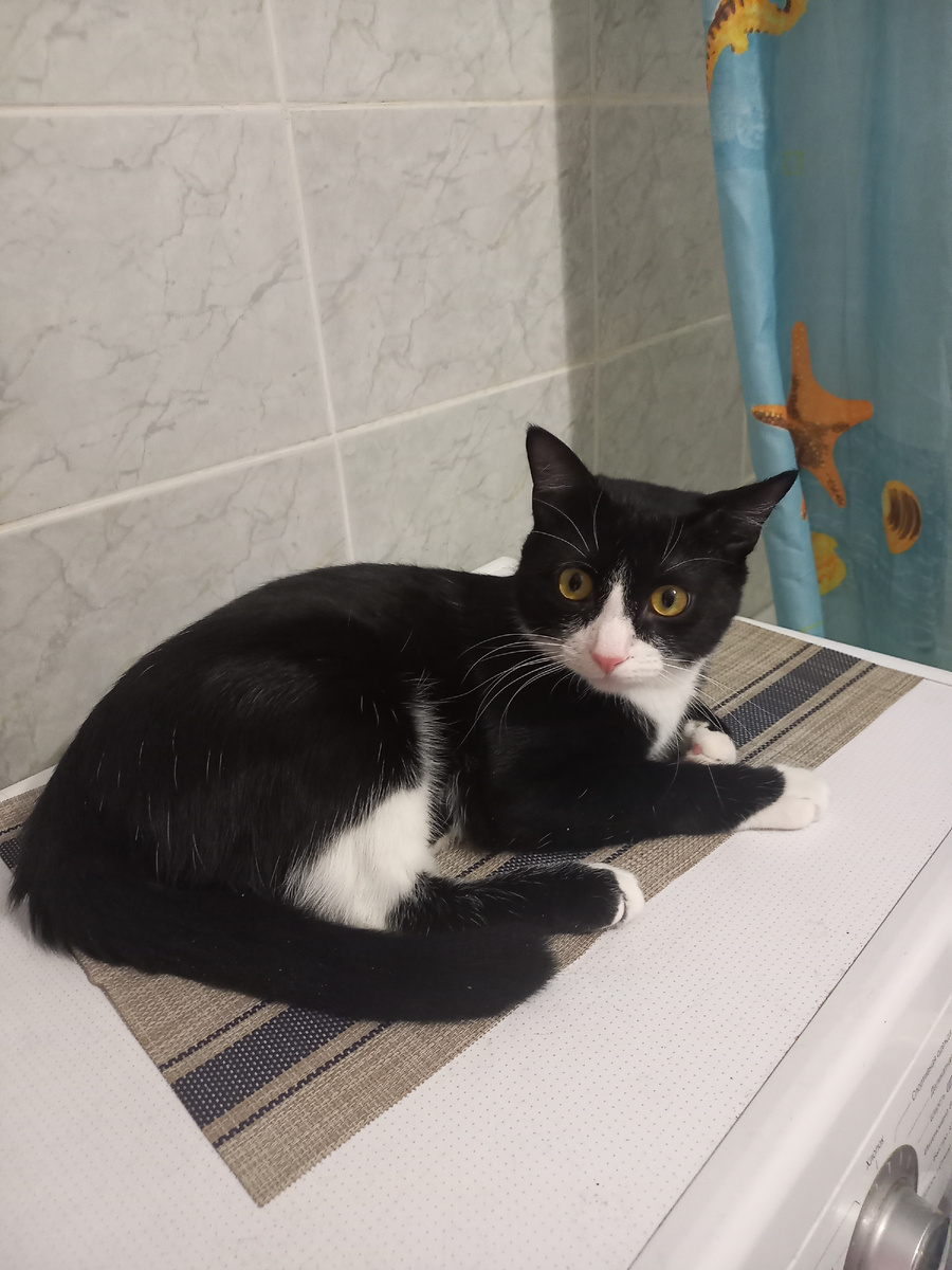 Мурзик уже с ограничениями питания