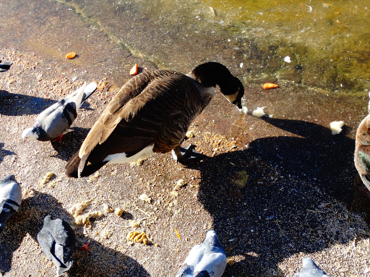    Крым 24 Elena Maltseva