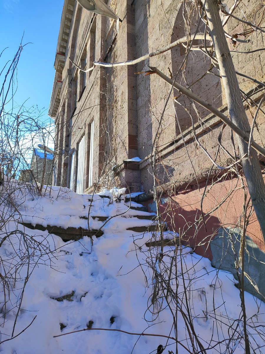 Заколоченные профлистами окна и двери. Заваленное снегом разбитое крыльцо с проросшими 5-метровыми деревьями толщиной в руку (февраль 2025 года)