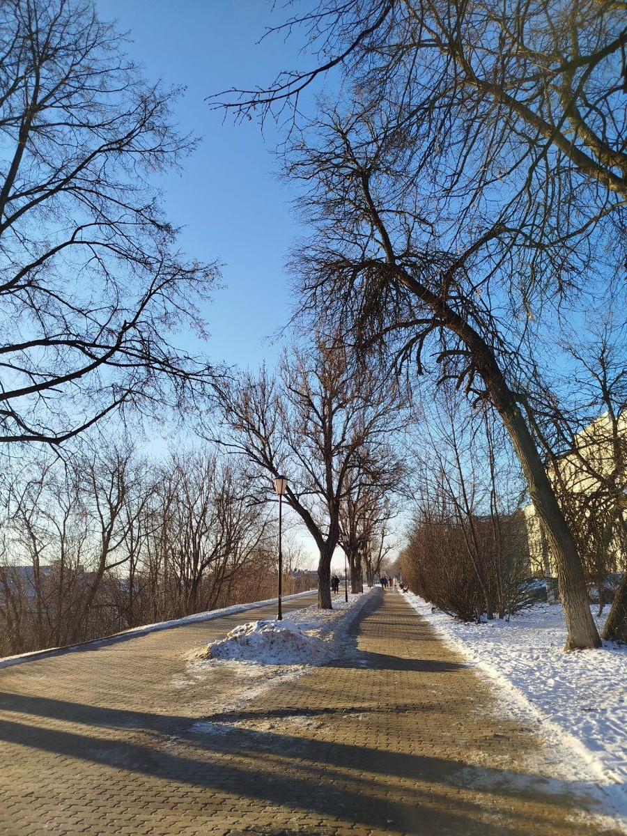 Кострома, Муравьёвка