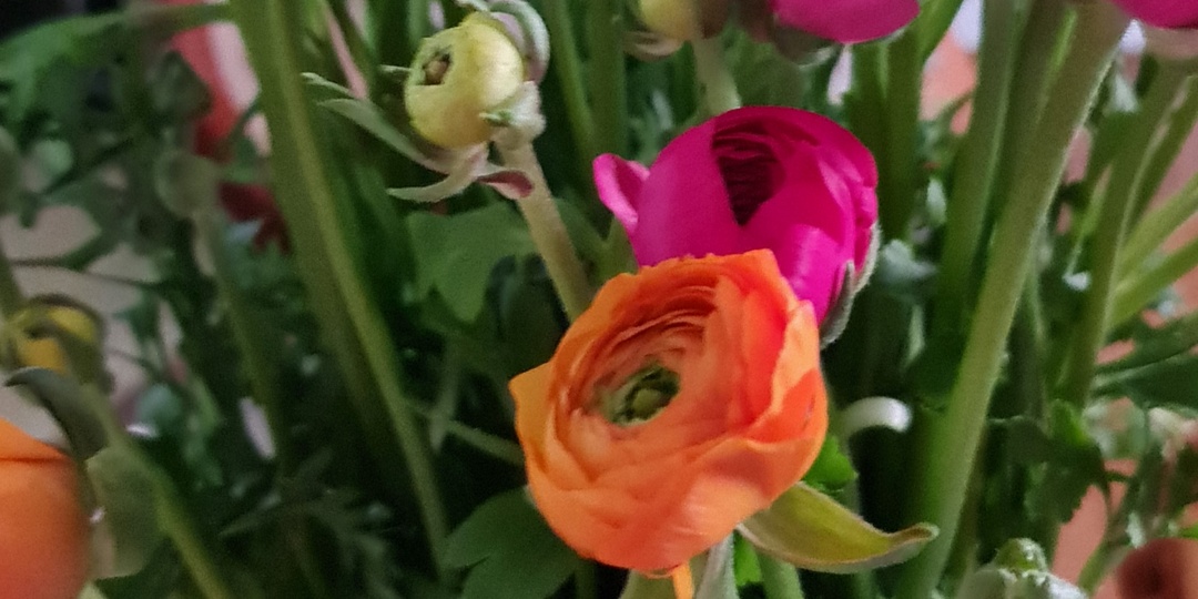 Пару слов из моей жизни...