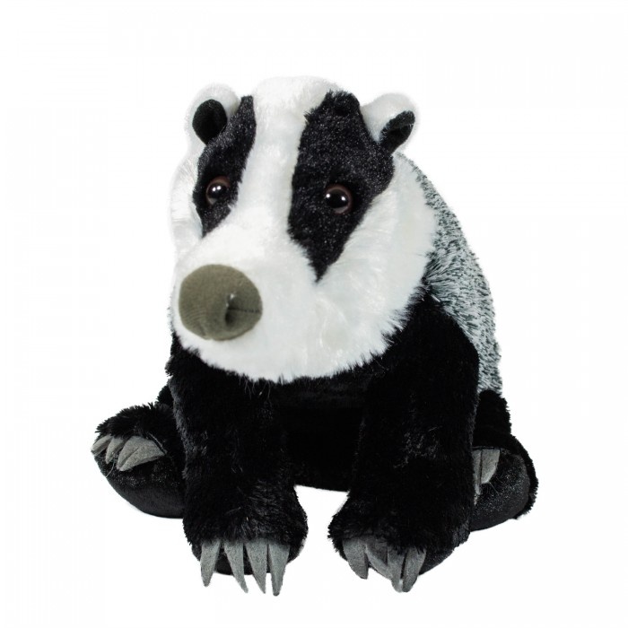 Фото из откытого источника Интернета