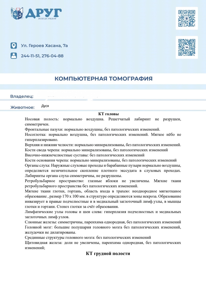 Описание эксперта - радиолога. 