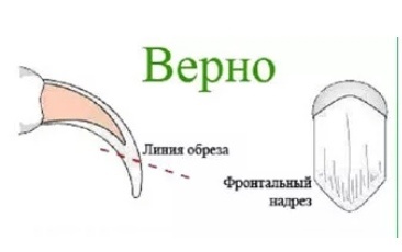 Верно 