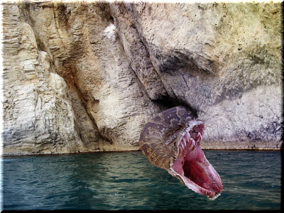 Фото: krymania.ru