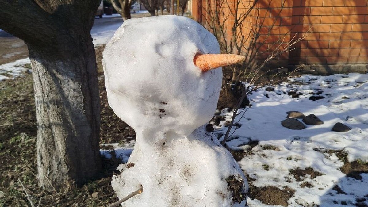    Фото: телеканал «Краснодар»