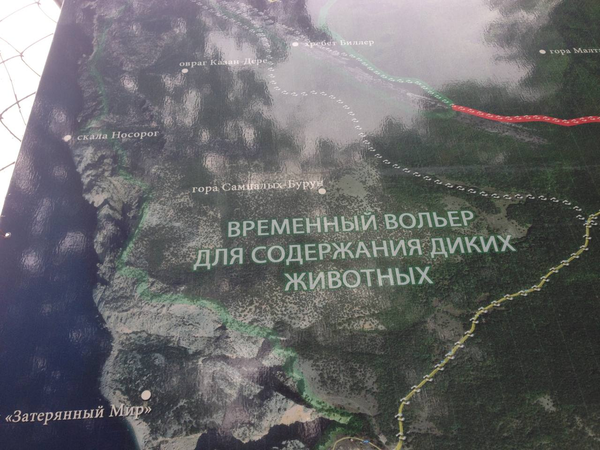 Временный вальер для содержания диких животных в отпуске Бенедиктыча из ОФМЕ