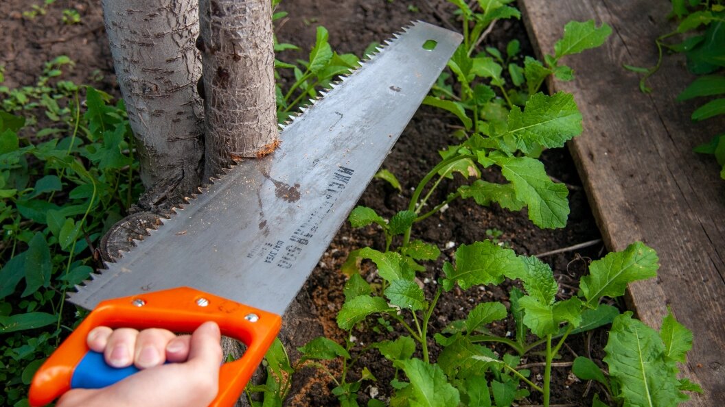    Svetlana Vozmilova/Global Look Press/Globallookpress