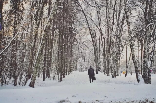    Какой праздник сегодня, 24 февраля 2025 года, и что нельзя делать?