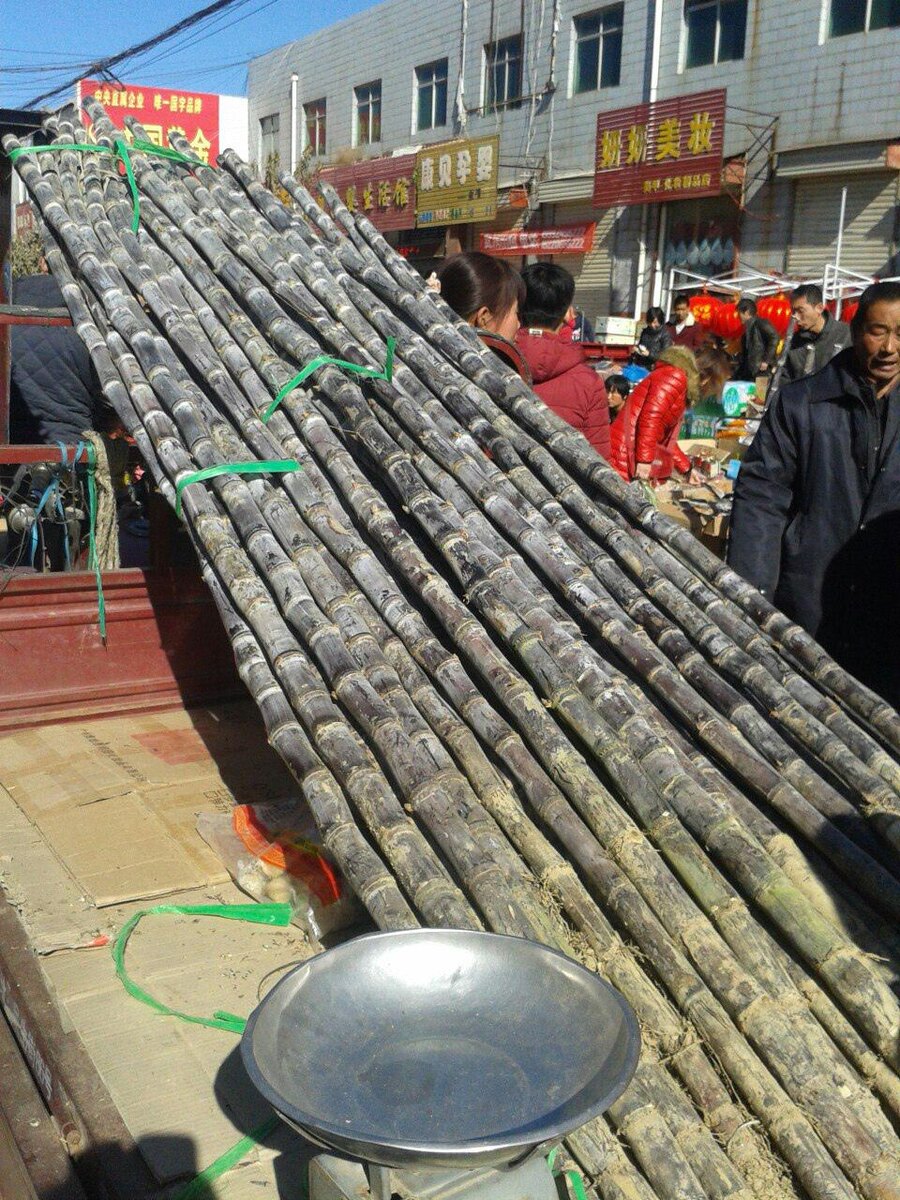 Сахарный тросник на рынке