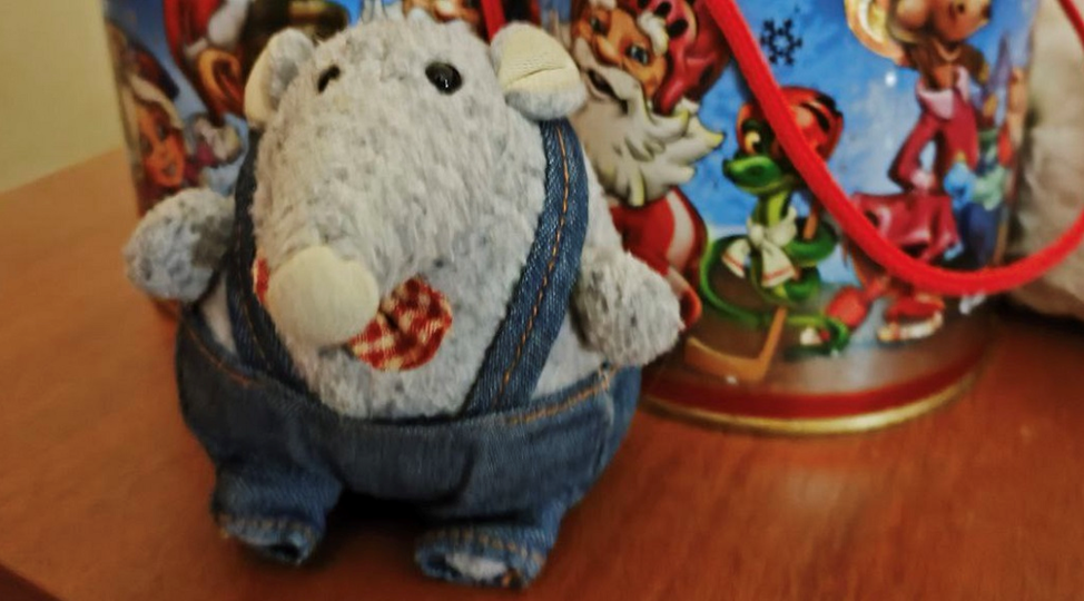 Фото автора