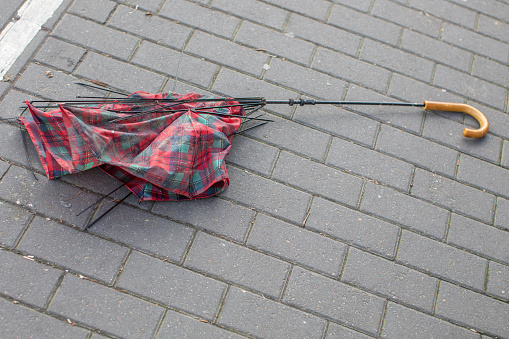 Мой зонтик служил мне верой и правдой, но жизнь его сломила...