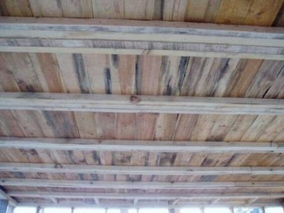 Отечественные строители гнилую древесину используют очень часто, но часто даже не по своему почину, а с ведома своих клиентов