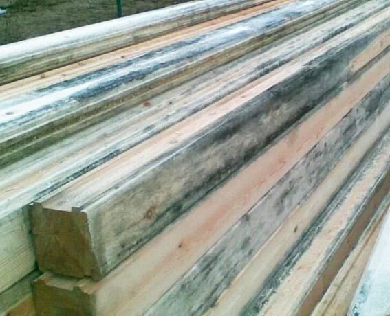 Посиневший брус