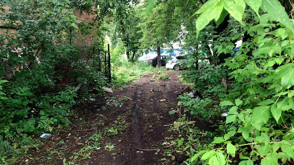 Всё, нет ворот. Дата 29.07.2024 / Фото автора