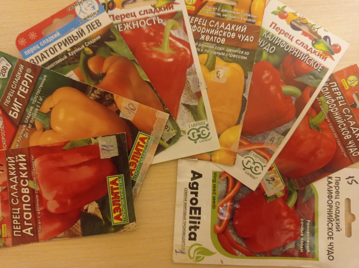 Это семена, оставшиеся с прошлого года. Срок годности у них еще не истек