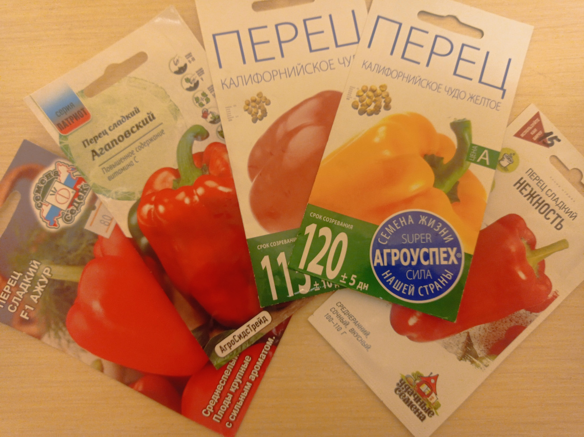 Эти семена купила в этом году