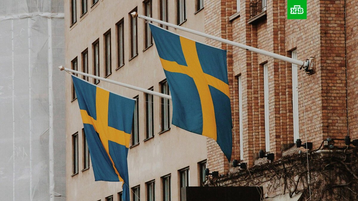    Фото: CARTIST / unsplash.com