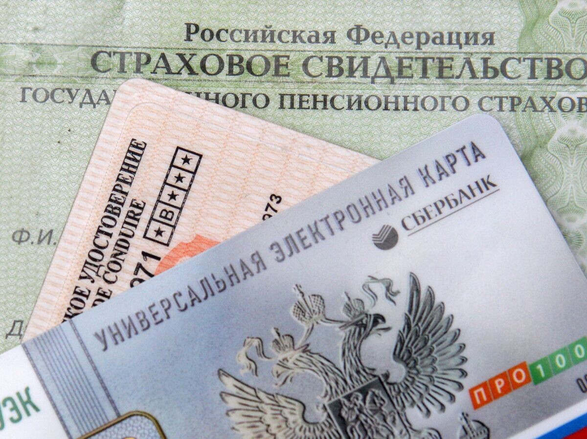    СНИЛС© РИА Новости . Максим Богодвид