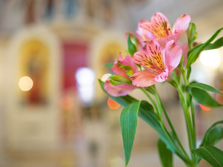   Ольга Григорьева