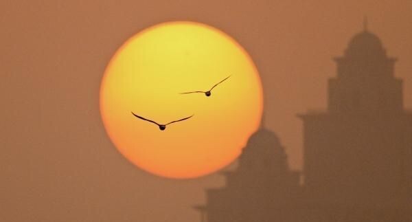    РИА «Новости»