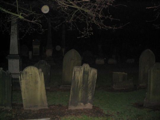 Изображение взято из открытых источников интернета. 