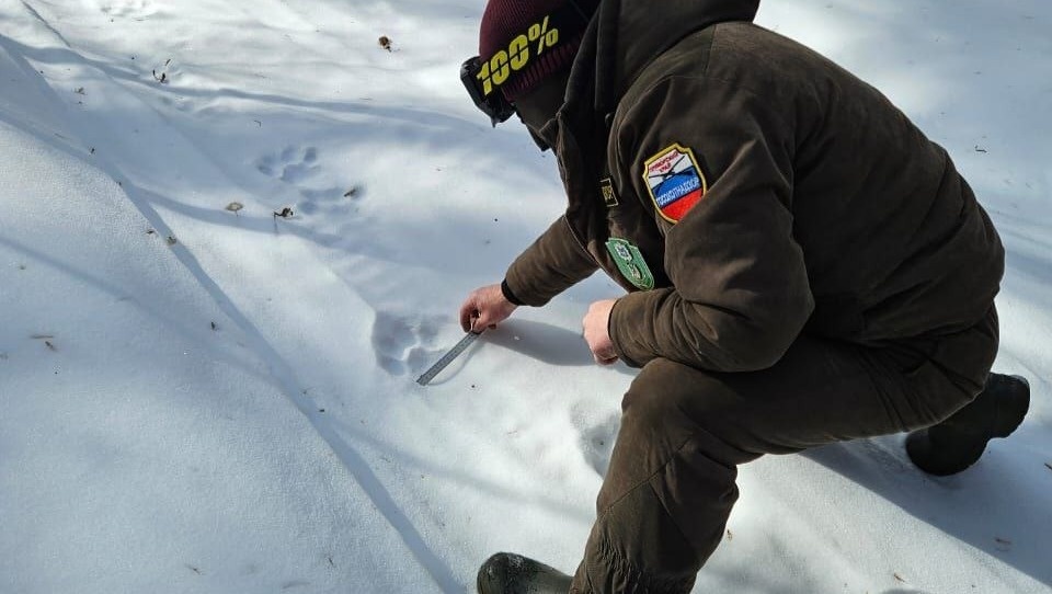     Источник: @minles_pk