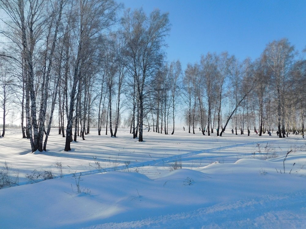    Ясную погоду обещают в последние дни февраля. Фото Анны Зубаревой