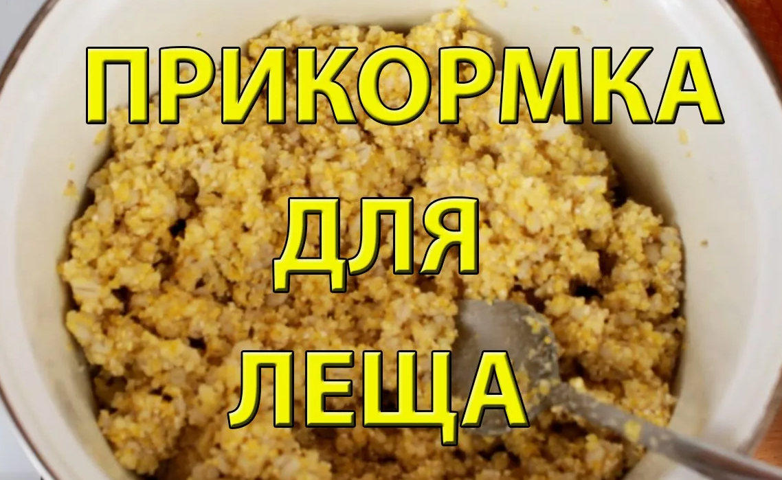 Прикормка для ловли леща. Источник фото san-poltava.ru