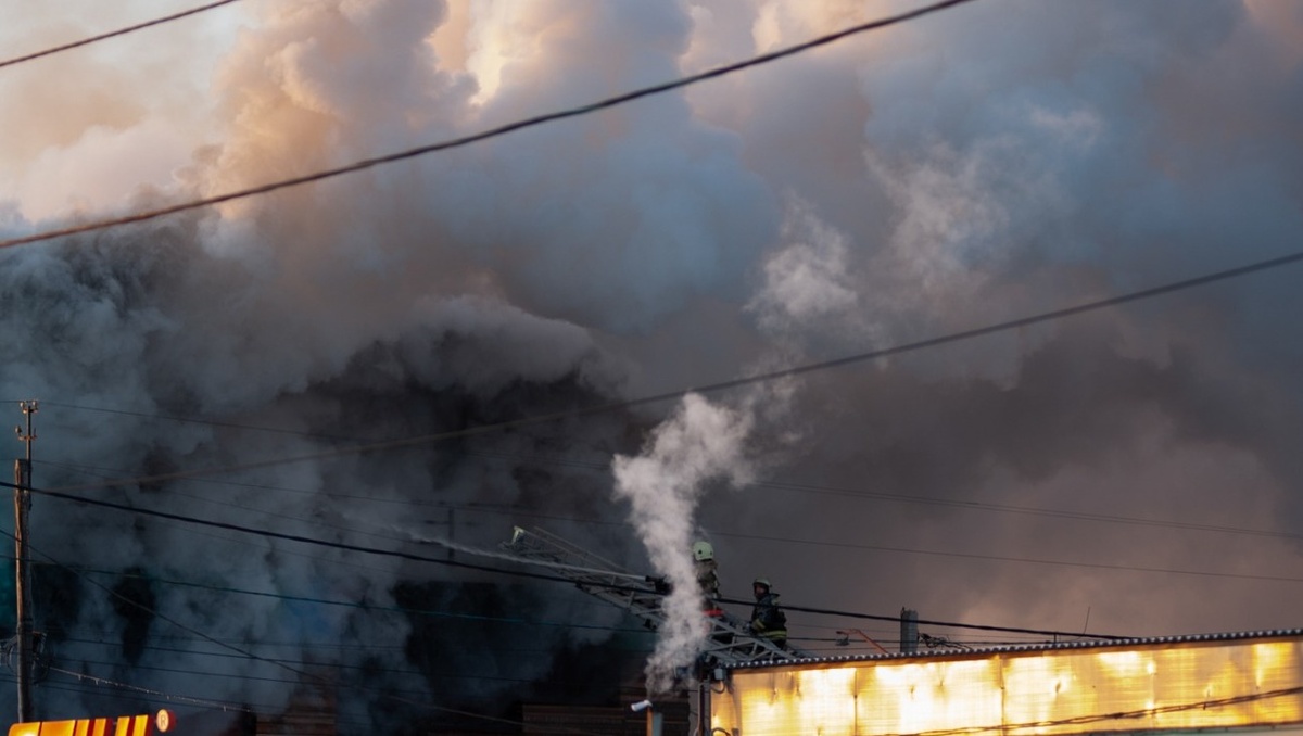     Источник: 1MI