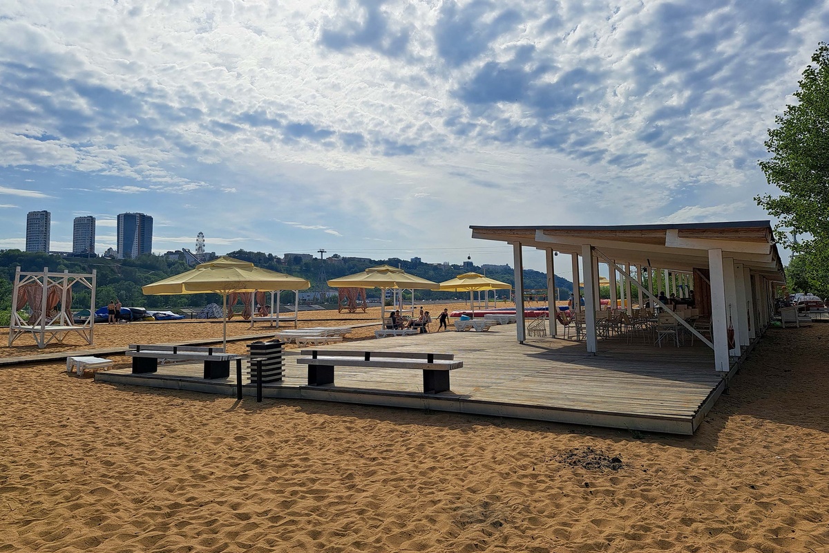 Общая площадь участков составила 36 га.  Фото: Фото: ФедералПресс / Вера Романескул