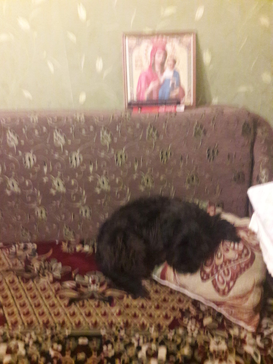 Личный диван Мета!