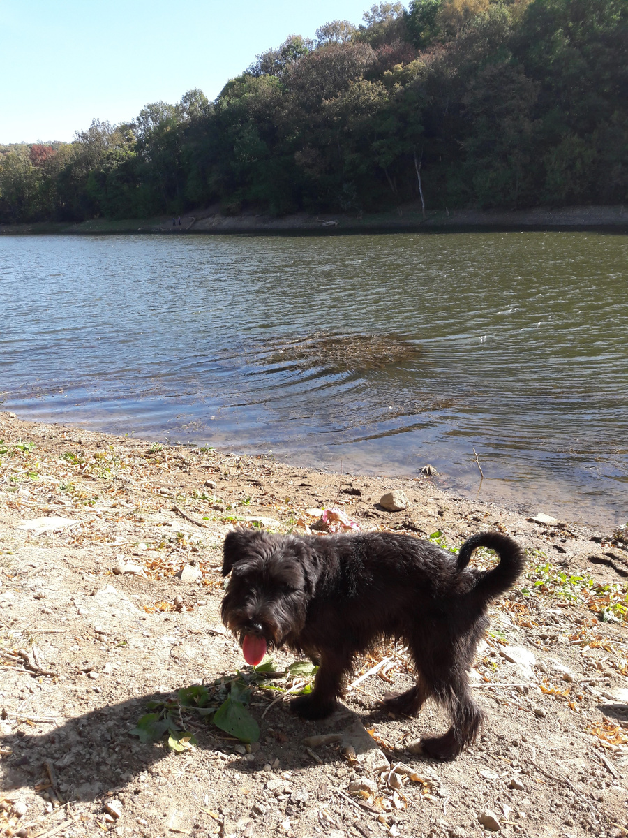 На прогулке у лесного озера.