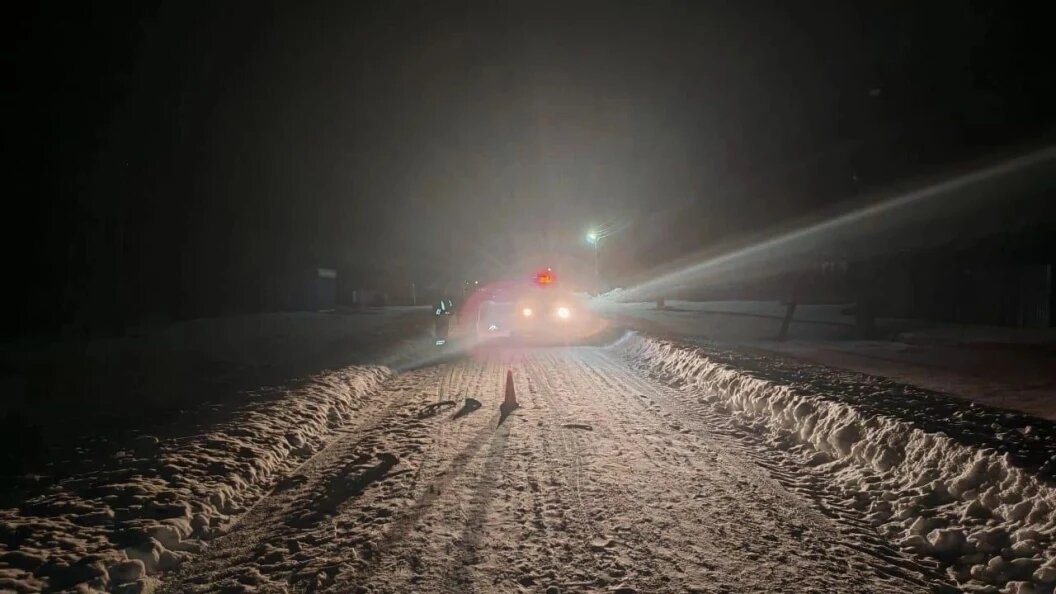    Фото: ГИБДД по Новосибирской области