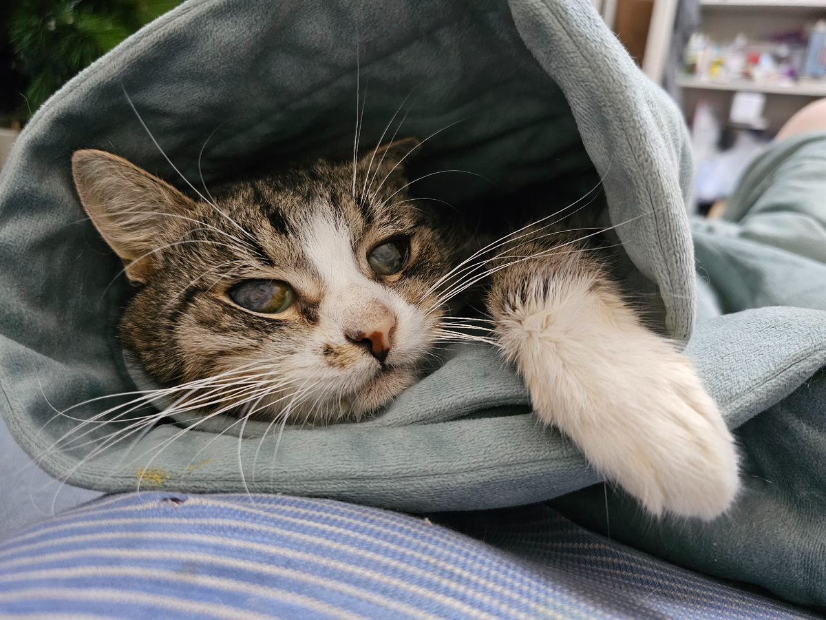 Фото автора. Арашик.