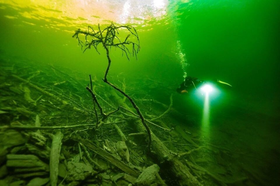    Гидрокосмос Телецкого озера. Источник: Телеграм-канал Алтайского заповедника