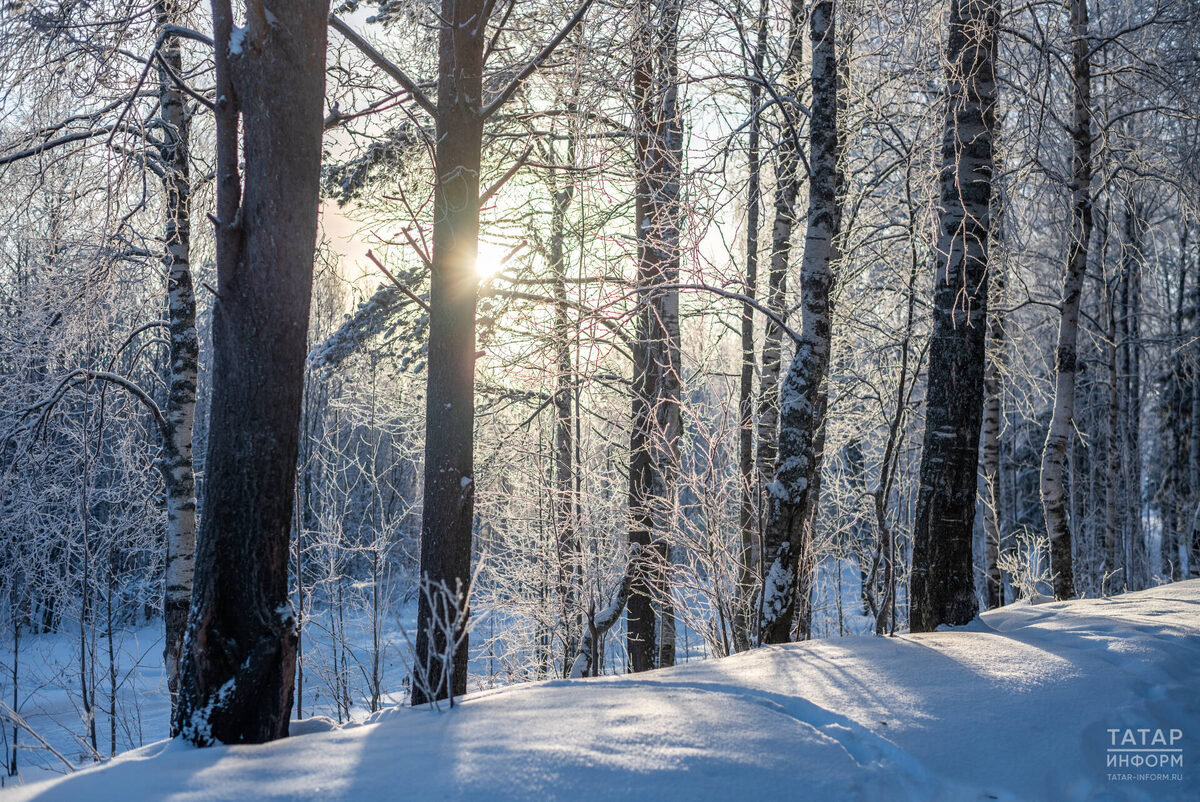 Фото: © Владимир Васильев / «Татар-информ»