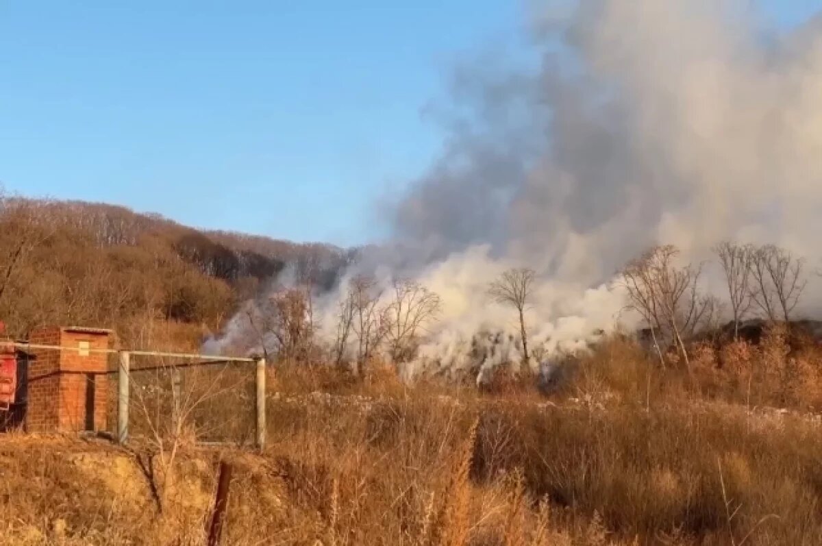    Пожар на мусорном полигоне в Приморье охватил 250 кв. м площади