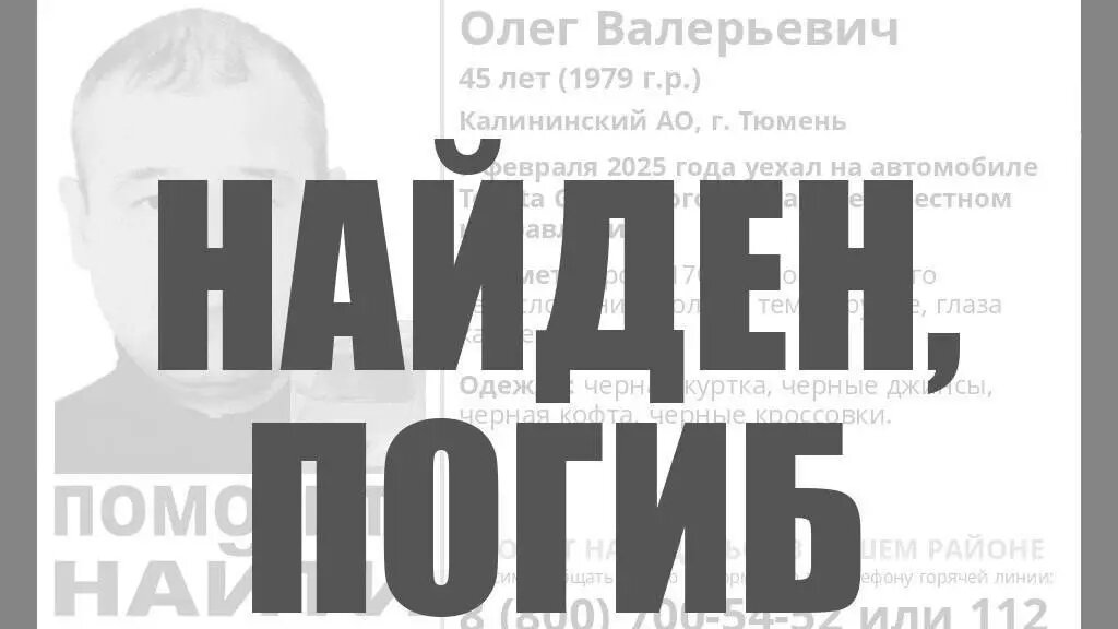     Источник: ЛизаАлерт