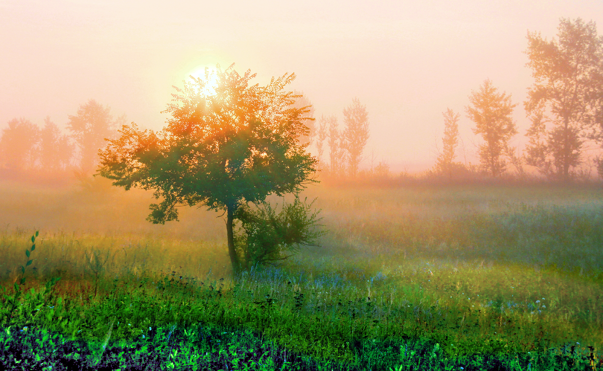 Фотография, стихотворение Василия Глуцкого