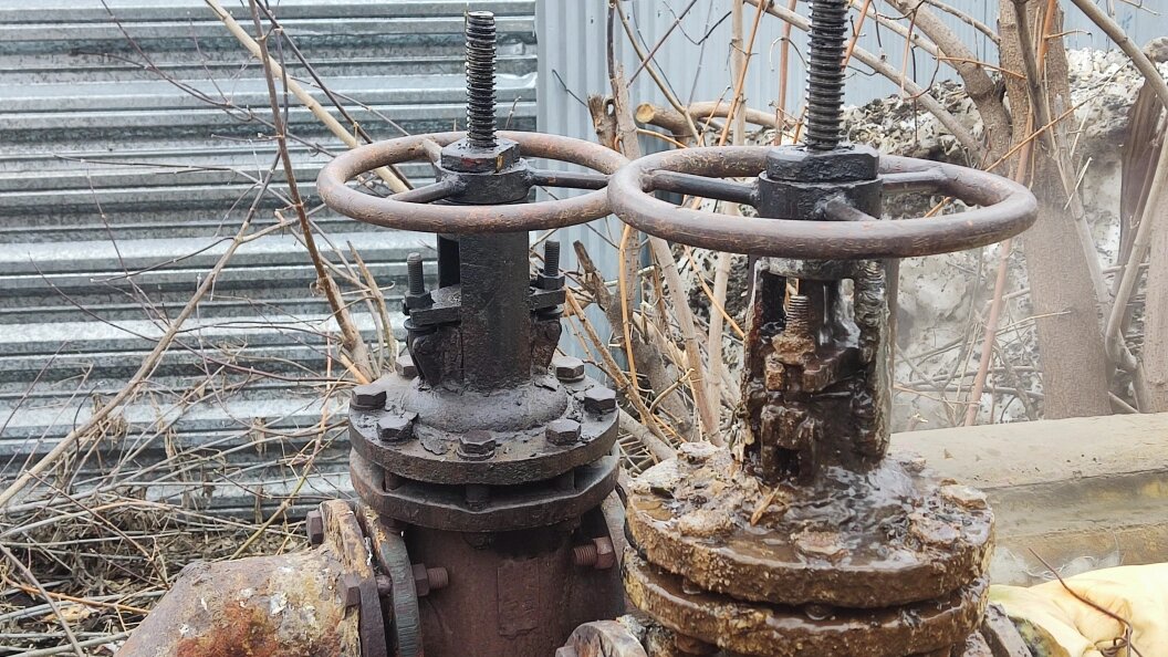    Фото: Царьград Новосибирск