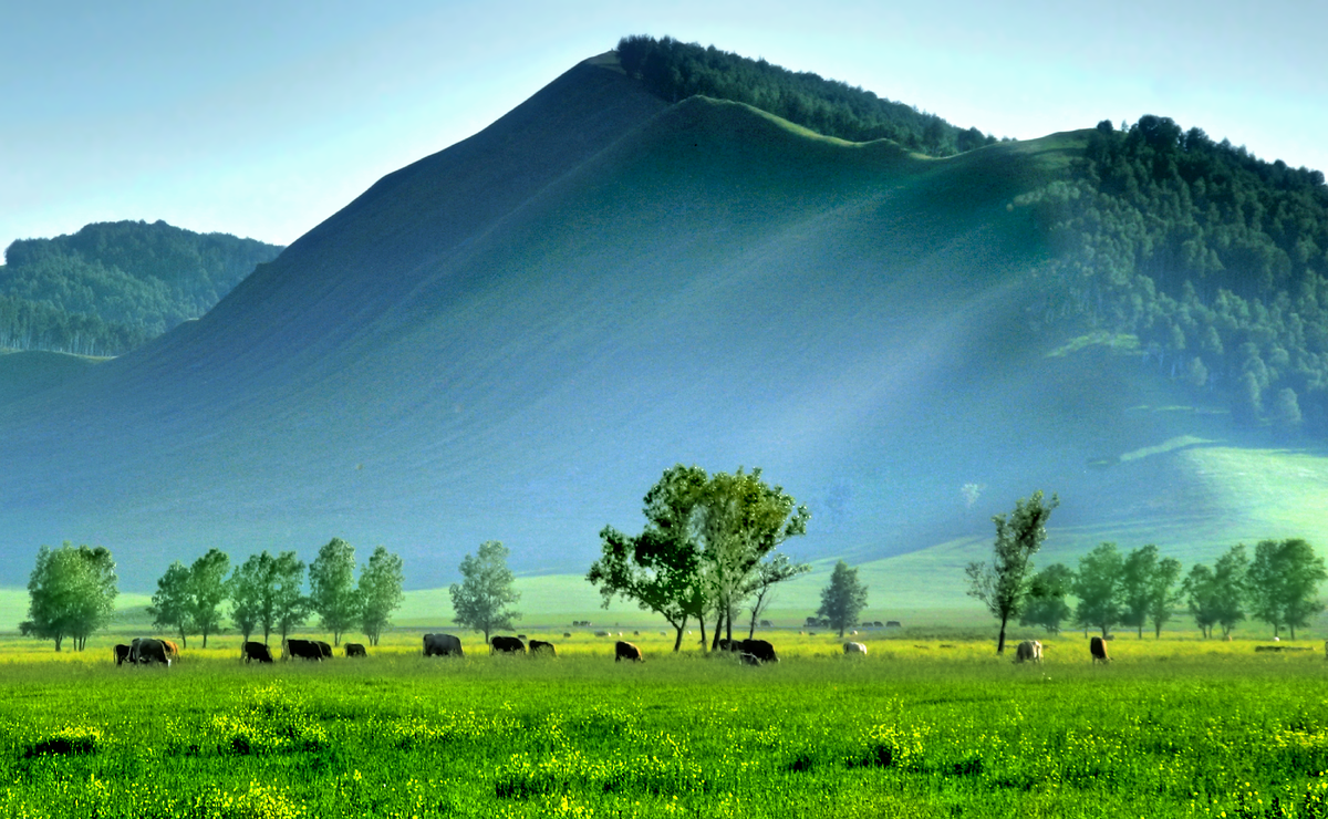 Фотография, стихотворение Василия Глуцкого